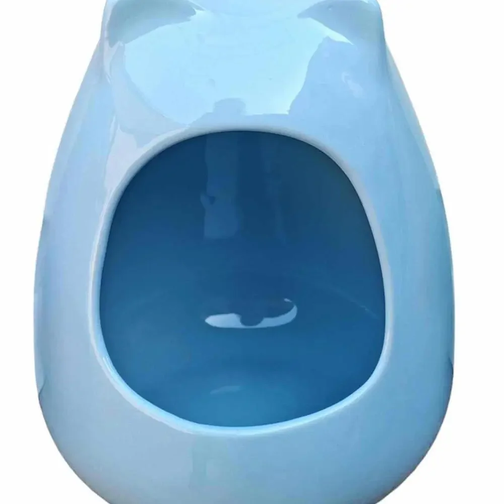 Ceramic Dust bath Or Pet Food Dish Heavyweight